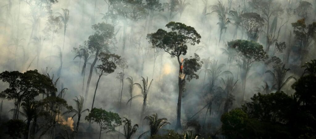 Amazônia TV