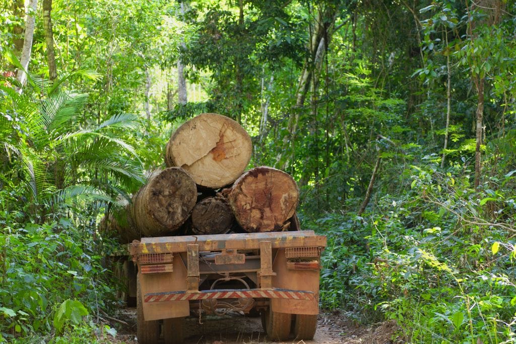 Amazônia TV